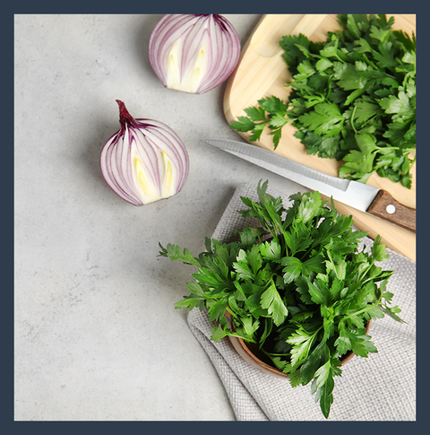 Cilantro & Roasted Onion