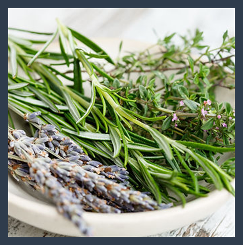 Herbs de Provence